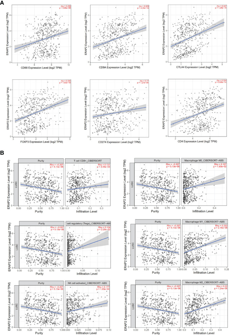 Figure 5