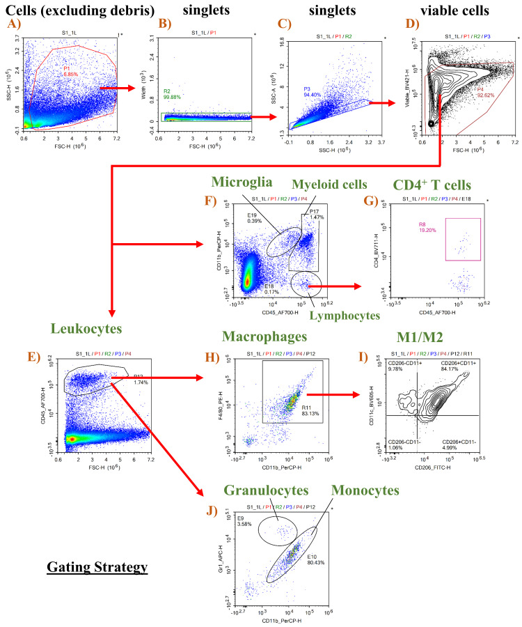 Figure 5.