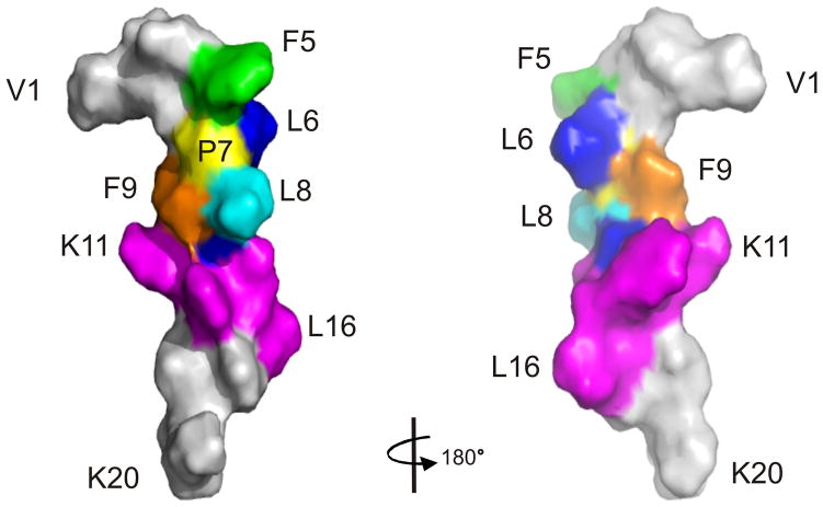 FIGURE 4