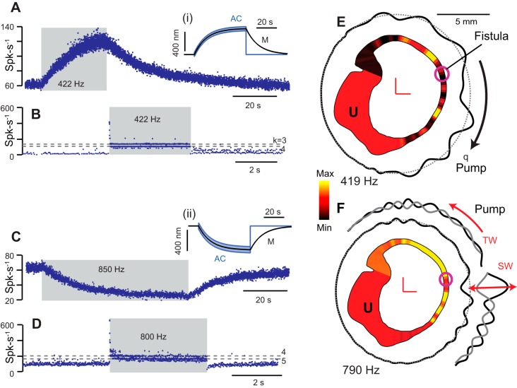 Fig. 9.