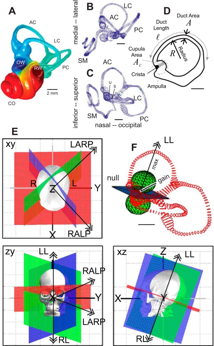 Fig. 1.