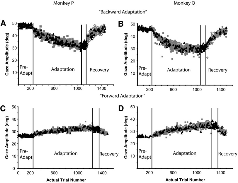 FIG. 11.