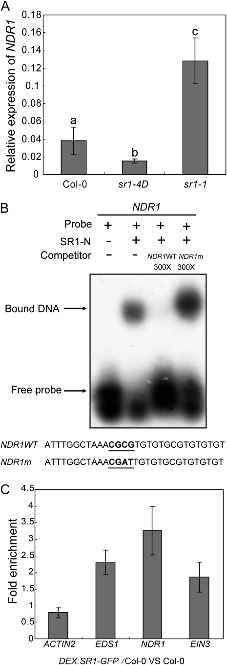 Figure 4.