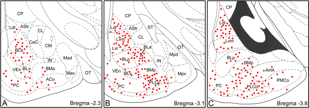 Fig. 5