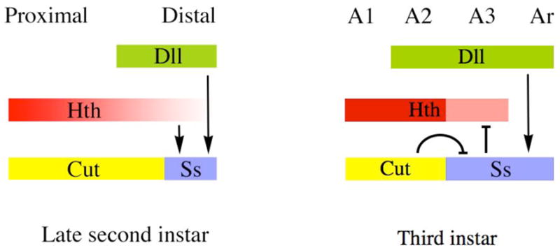 Figure 10