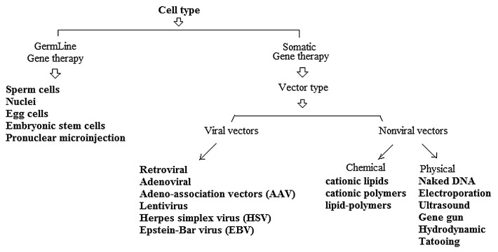 graphic file with name hvi-10-321-g1.jpg