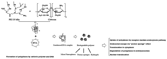 graphic file with name hvi-10-321-g2.jpg