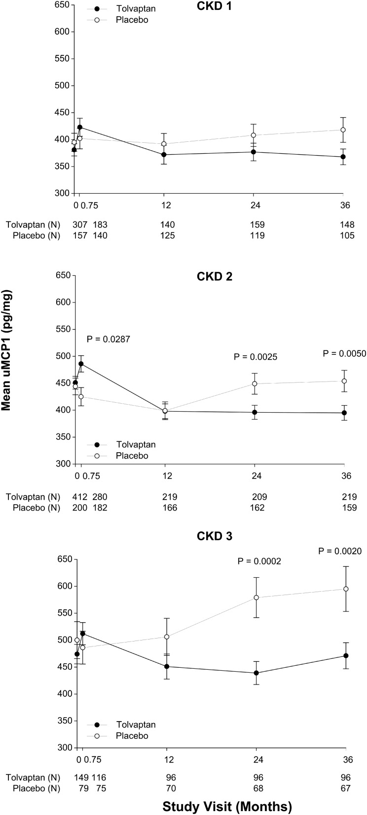 FIGURE 5