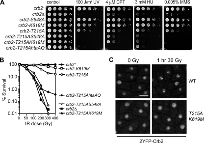 FIG. 4.