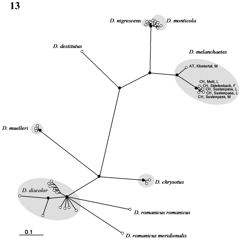 Fig. 13