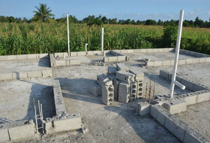 graphic file with name 35152_2020_201_Fig5_HTML.jpg