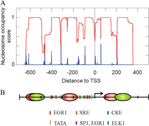 FIGURE 2.