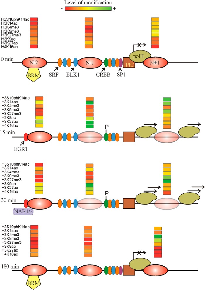 FIGURE 9.