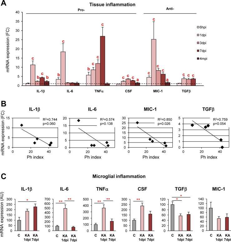 Fig 12