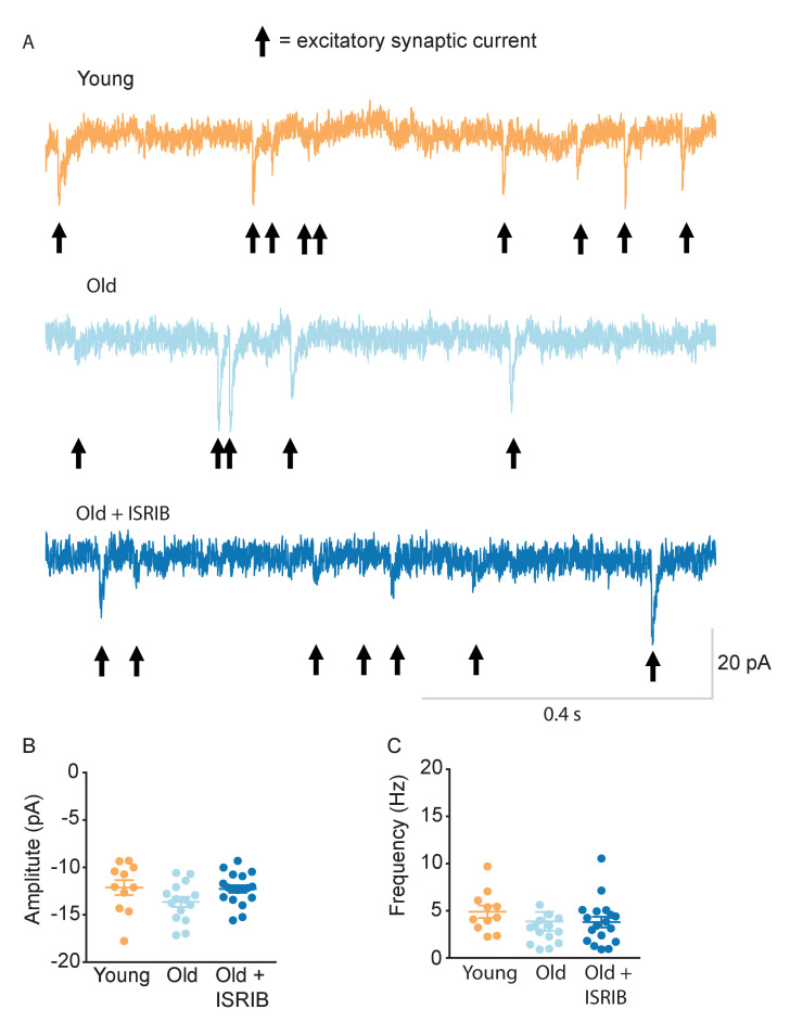 Figure 3—figure supplement 2.