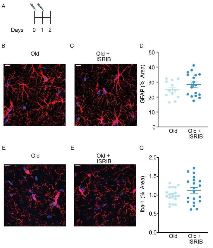 Figure 4—figure supplement 1.