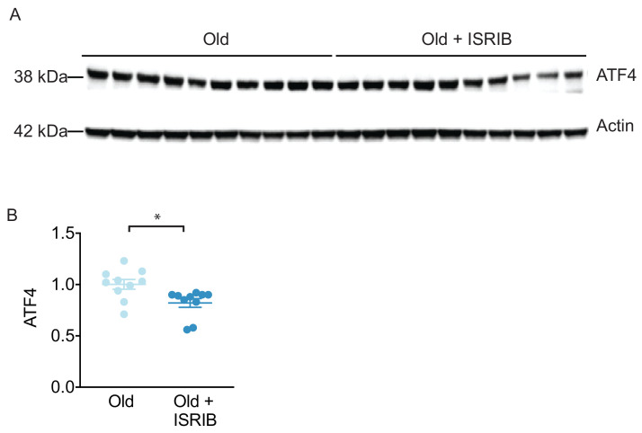 Figure 1—figure supplement 1.