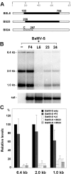 FIG. 2.