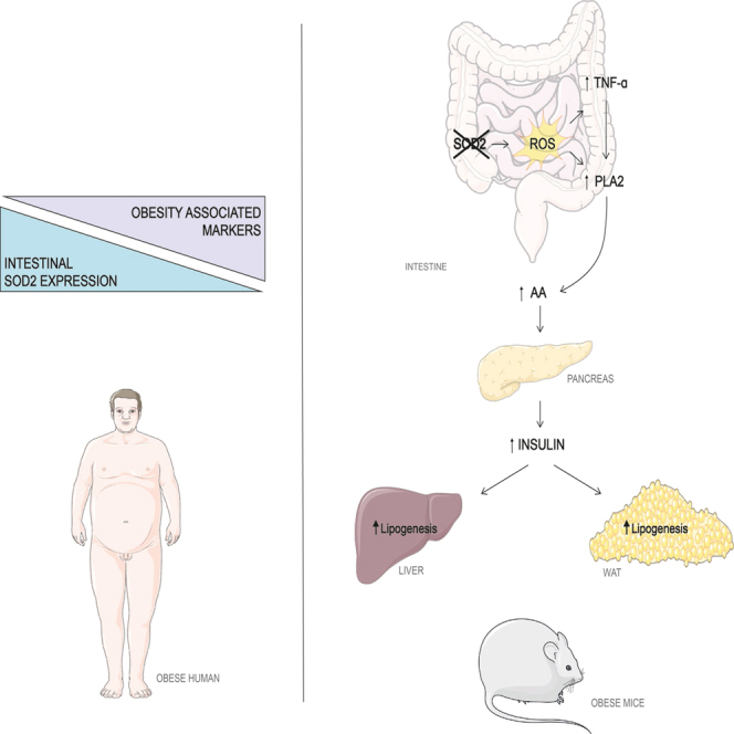 graphic file with name fx1.jpg