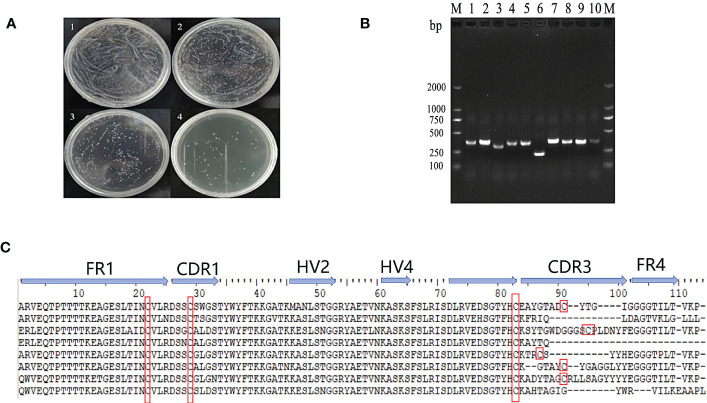 Figure 2