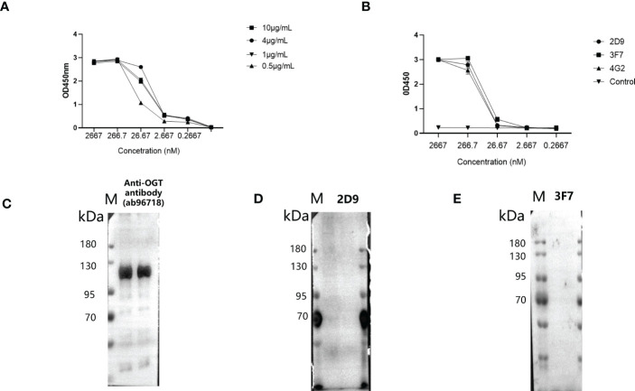 Figure 6