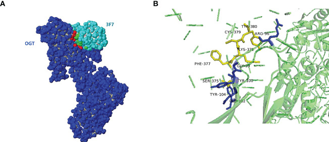 Figure 9