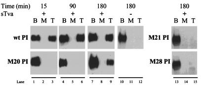 FIG. 7