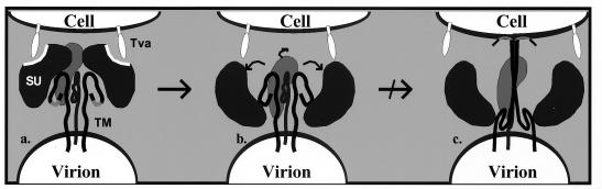 FIG. 8