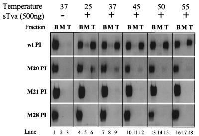 FIG. 6