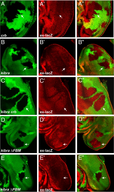 Fig. 3.