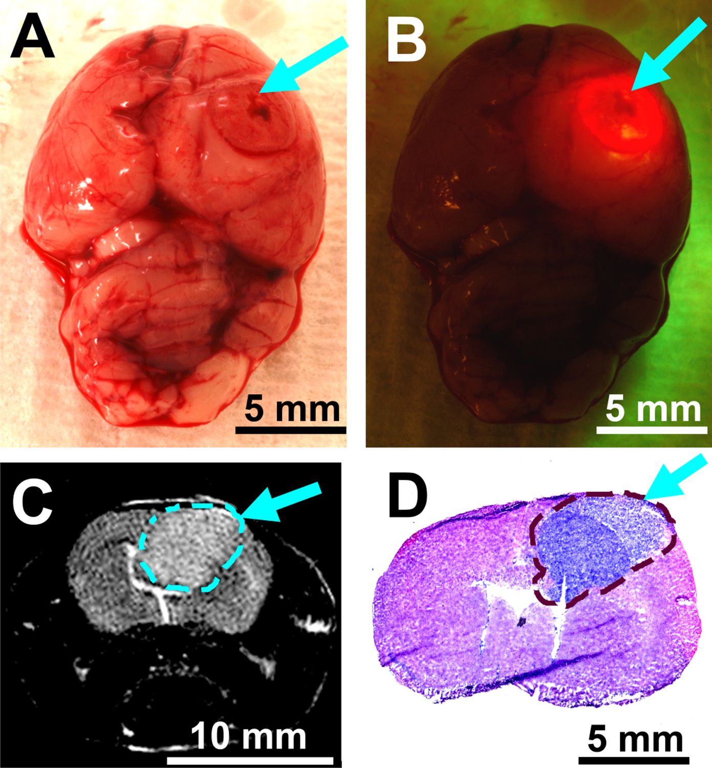 Figure 4.