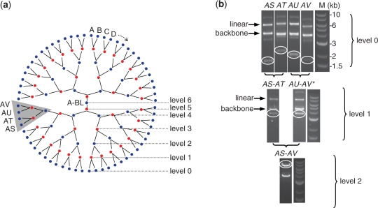 Figure 3.