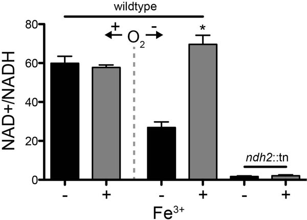 Extended Data Figure 2.