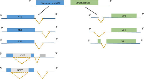 Figure 3.7