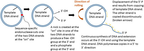 Figure 3.2