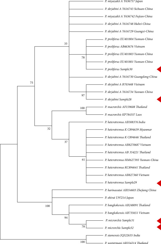 Figure 5