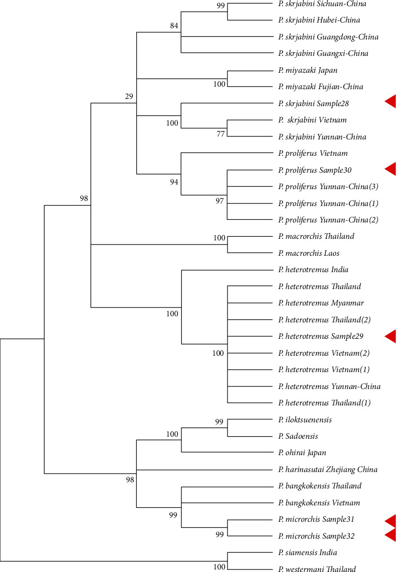 Figure 6