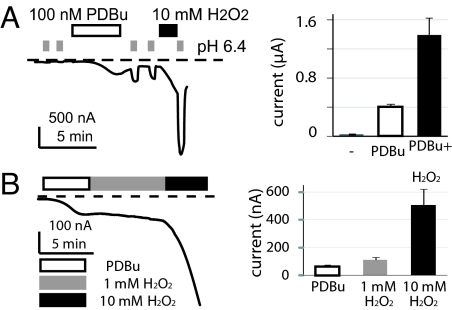 Fig. 6.