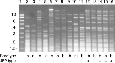 FIG. 1.