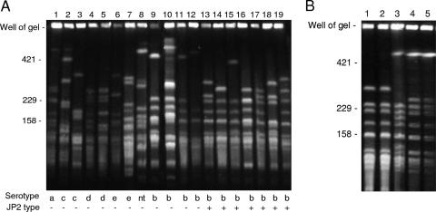 FIG. 2.