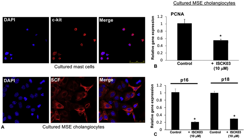 Figure 6: