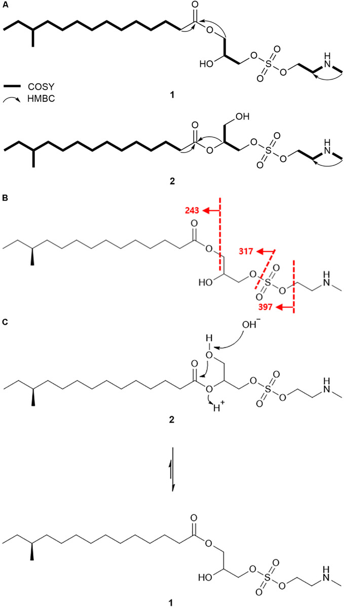 FIGURE 3