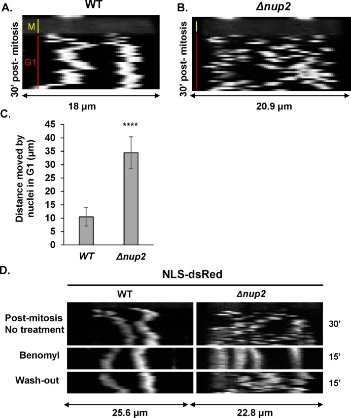 FIGURE 7: