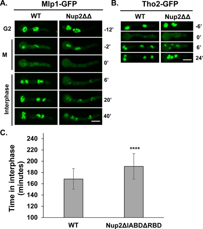 FIGURE 5: