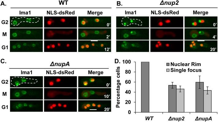 FIGURE 6: