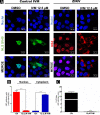 FIG 4