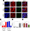 FIG 10