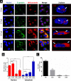 FIG 1