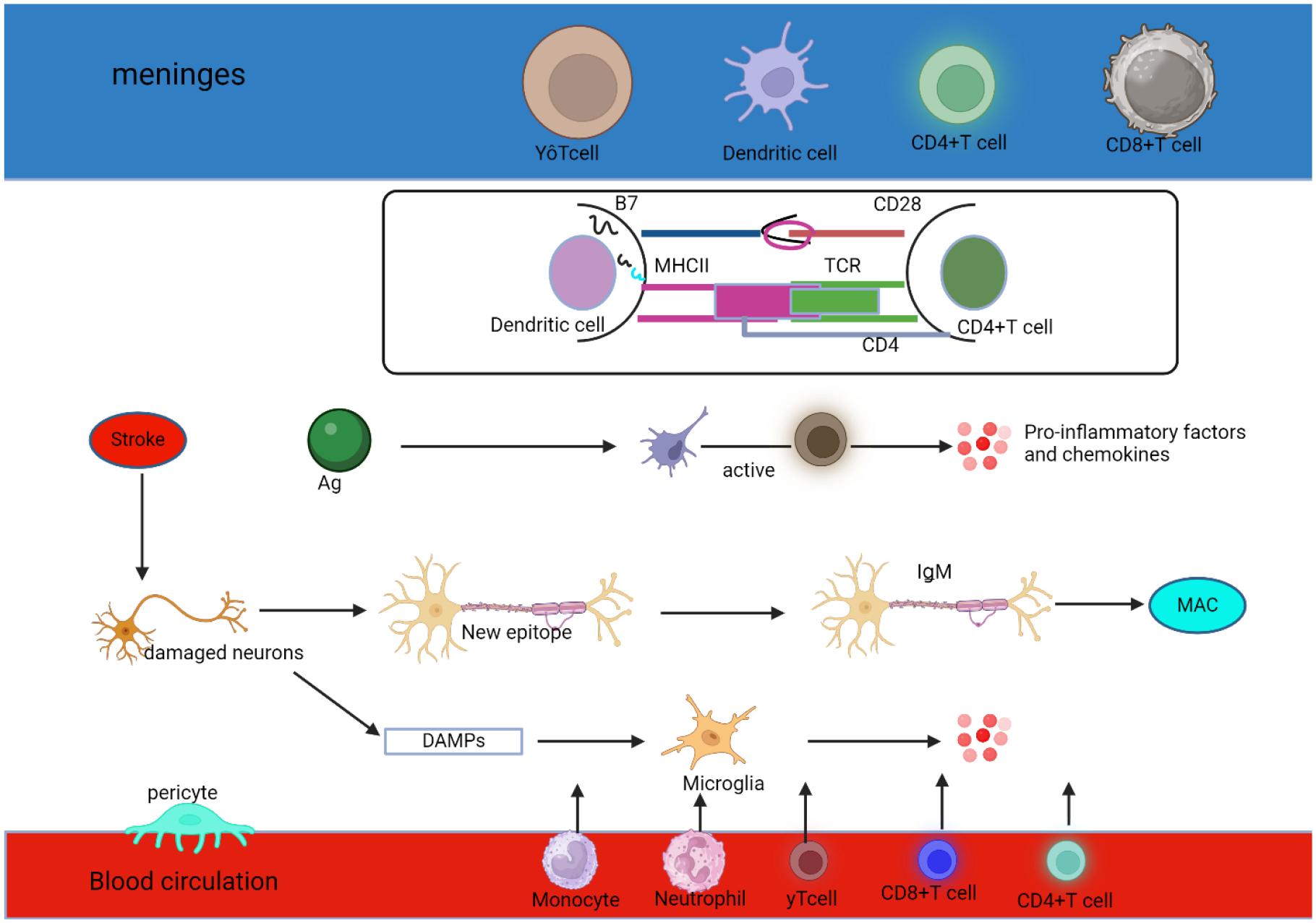 Figure 1: