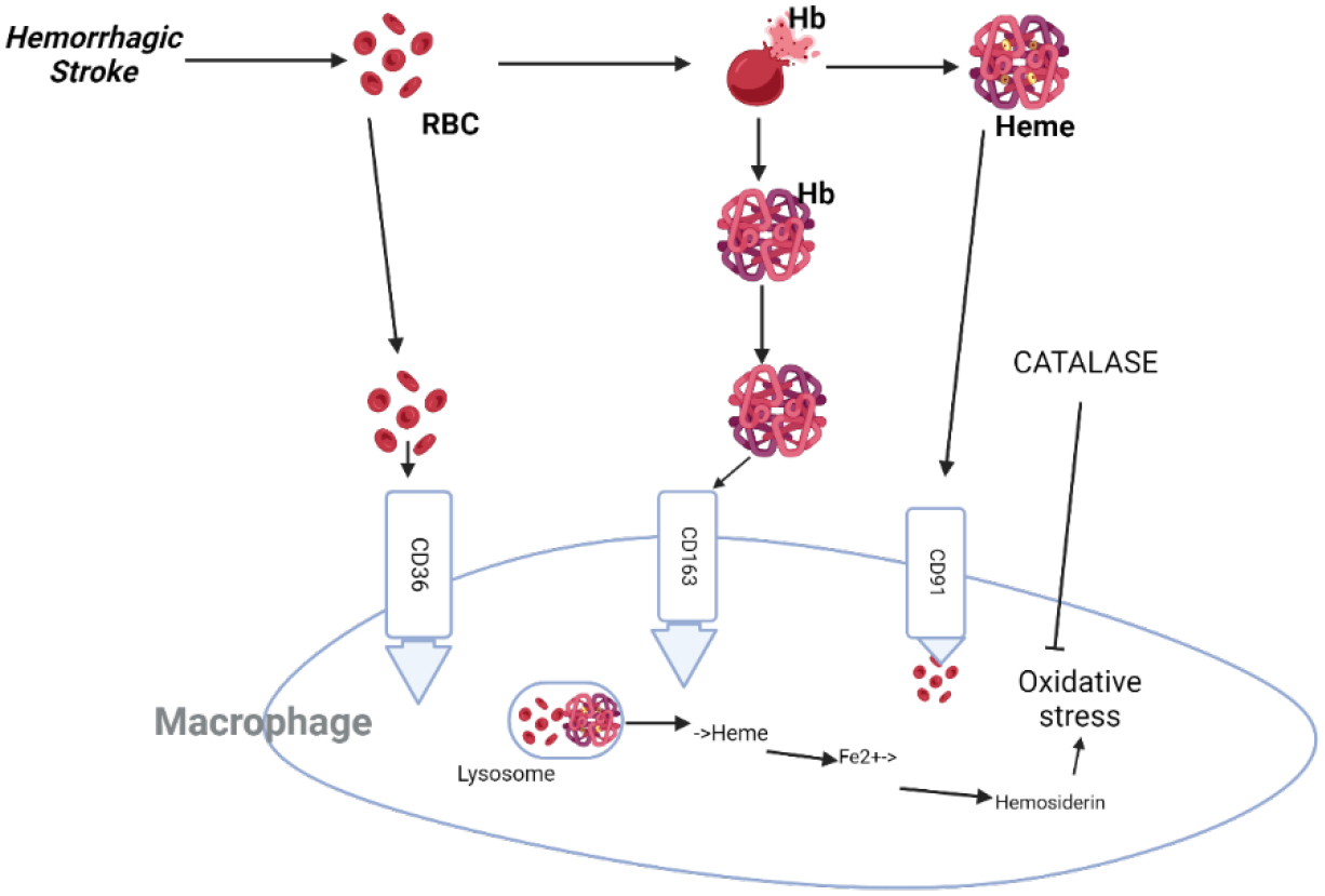 Figure 3: